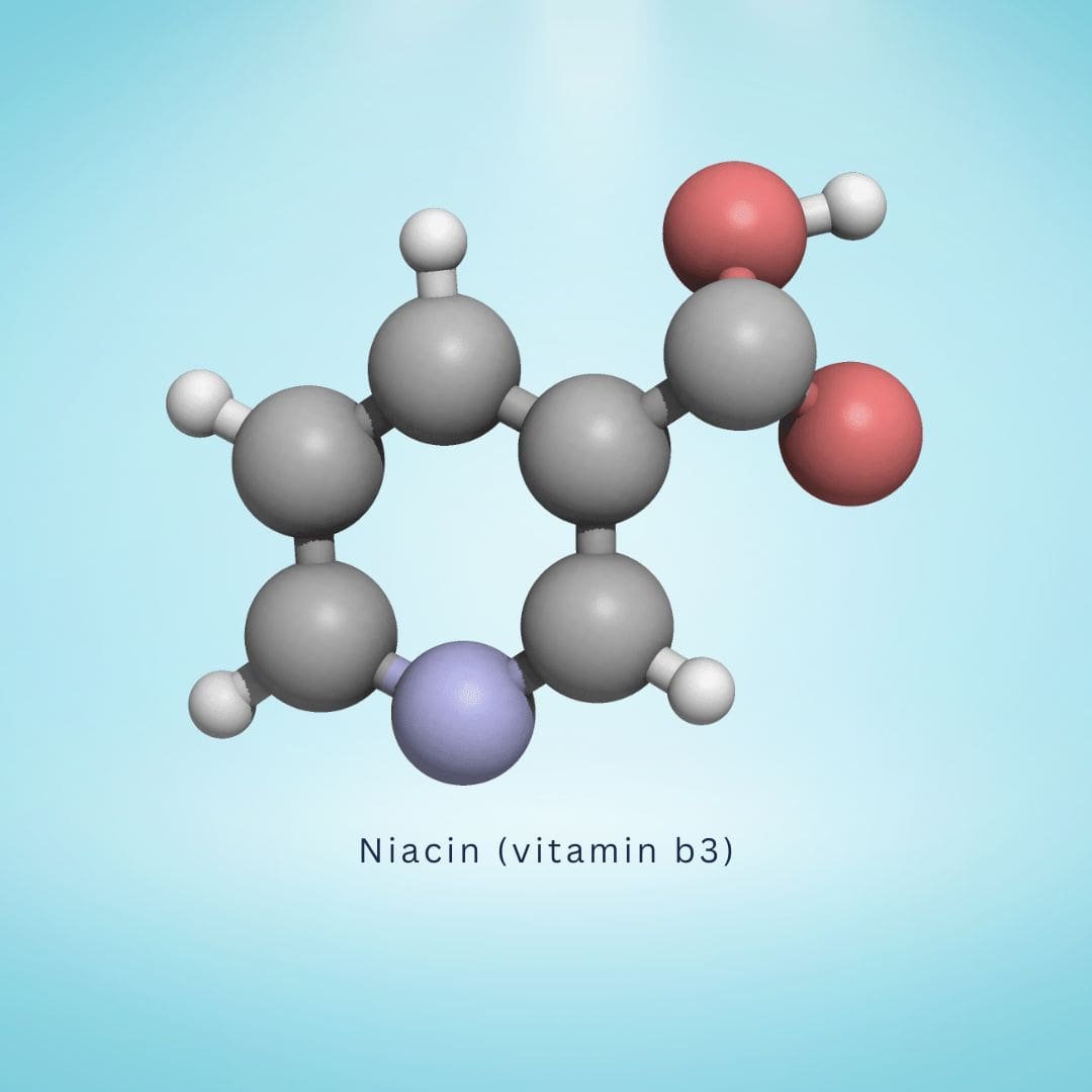D-Aspartic Acid (2)
