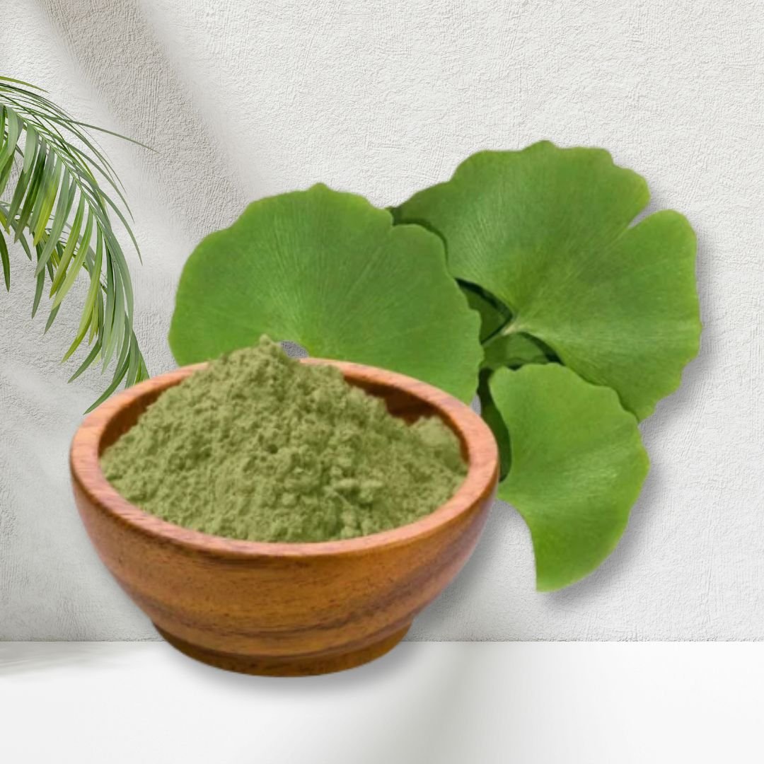 Ginkgo Biloba Powder